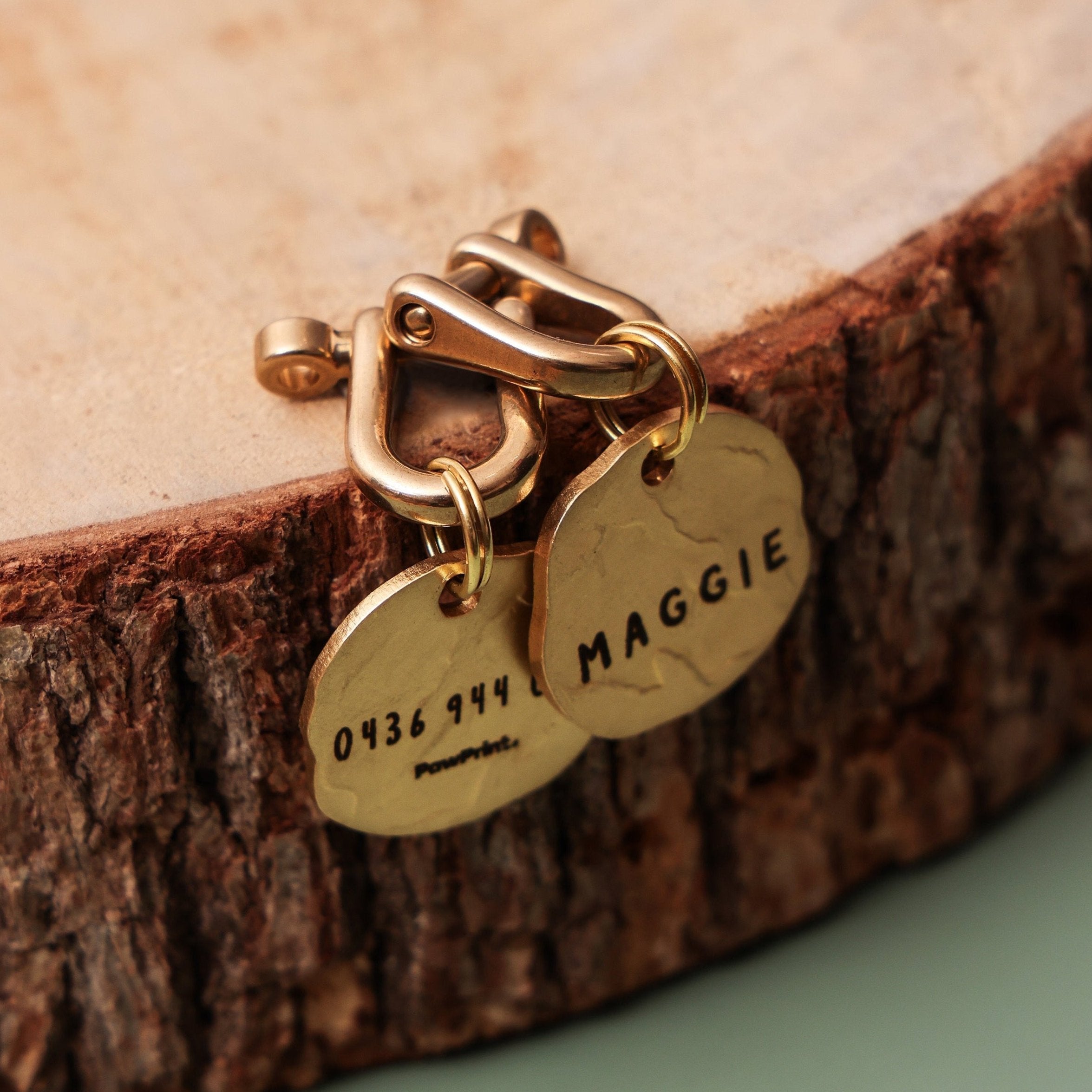 Seafarer Tag™ | Brass Dog Tag Made from Recycled Materials | PawPrint