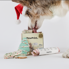 Gift Card Gift Card