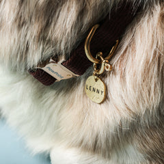 Seafarer Tag™