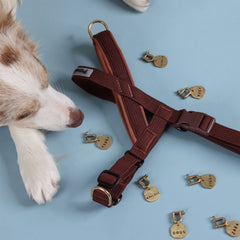 Moniker Bundle - HARNESS