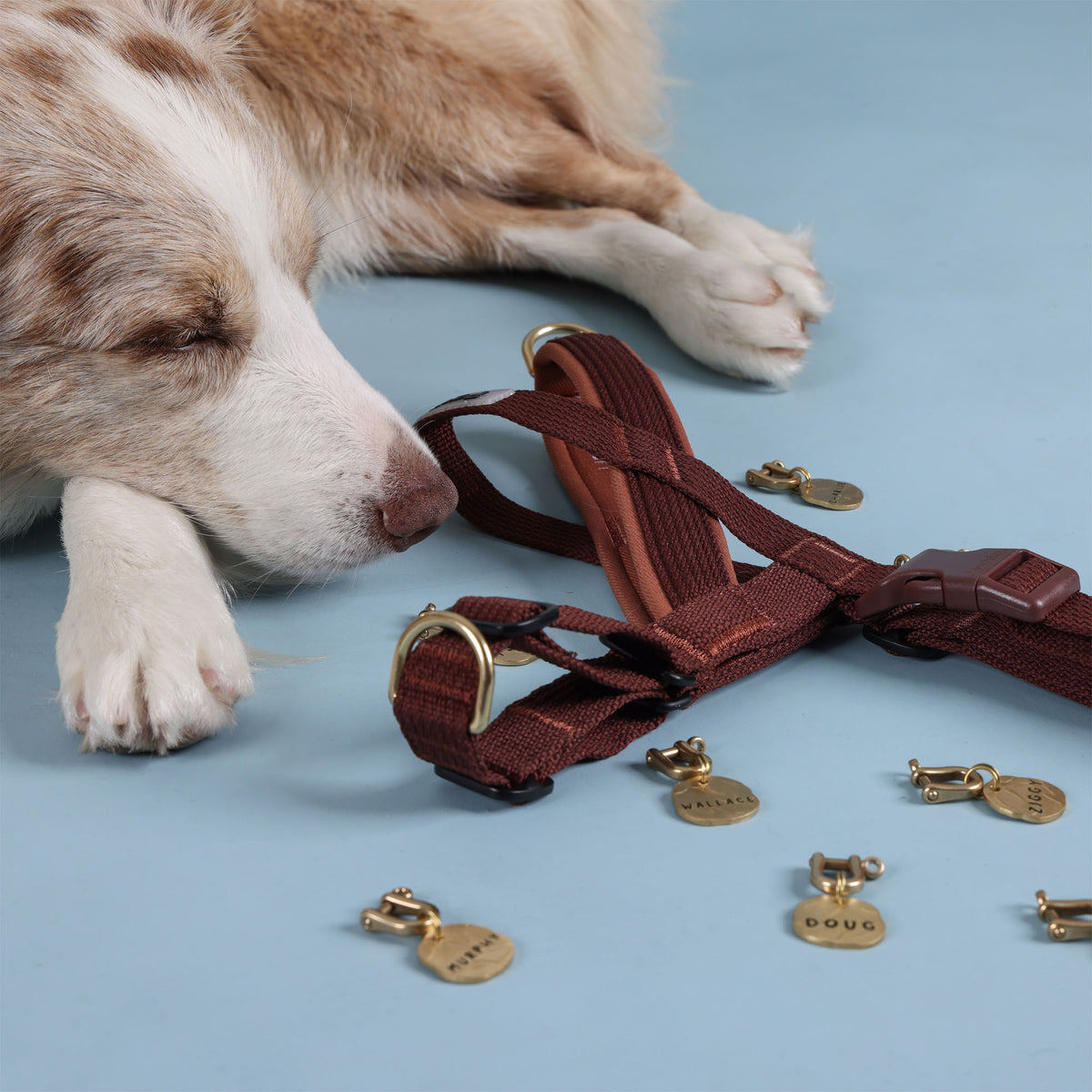 Moniker Bundle - HARNESS