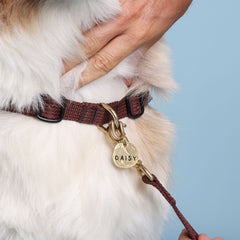 Adventure Bundle - HARNESS