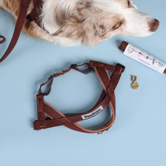 Adventure Bundle - HARNESS