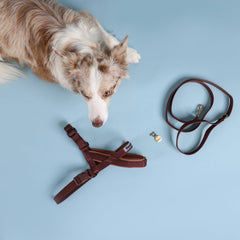 Adventure Bundle - HARNESS