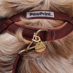 Adventure Bundle - HARNESS