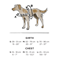 Adventure Bundle - HARNESS