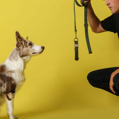 Tide Leash™