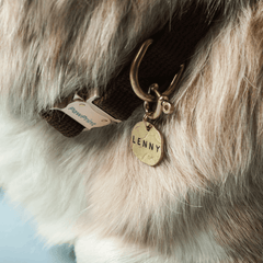 Seafarer Tag™ - PawPrint