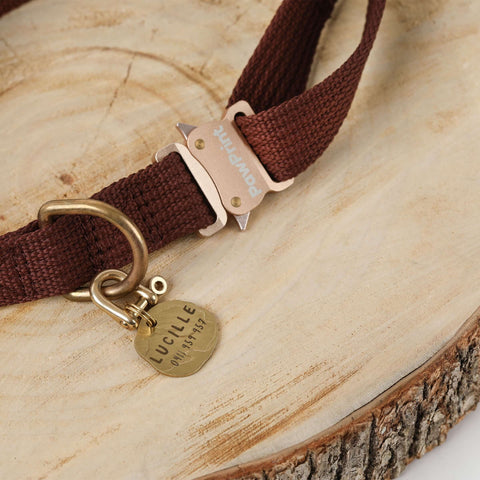 custom made brass dog tags on a brown dog collar