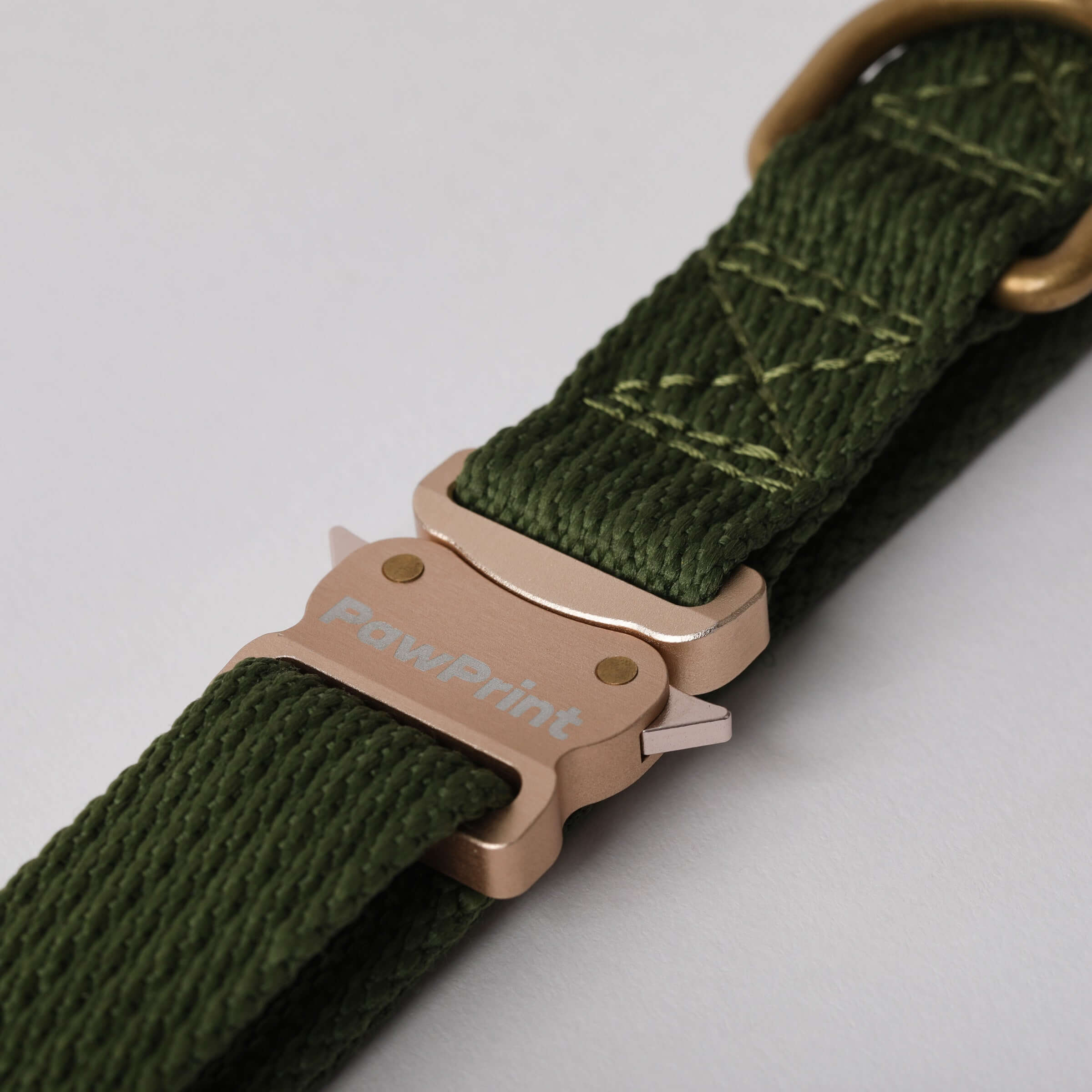Green Waterproof dog collar made from recycled ocean plastic 