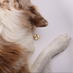 Seafarer Tag™ HEART