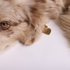 Seafarer Tag™ HEART