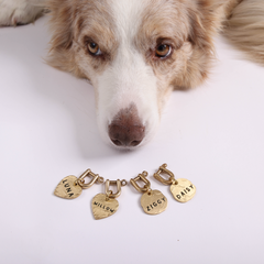 Seafarer Tag™ HEART