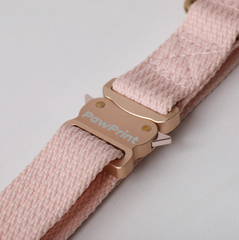 Flotsam Collar