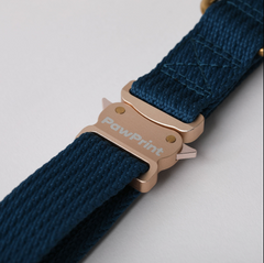 Flotsam Collar