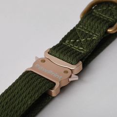 Flotsam Collar