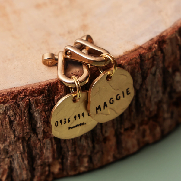 Seafarer Tag™ | Brass Dog Tag Made from Recycled Materials